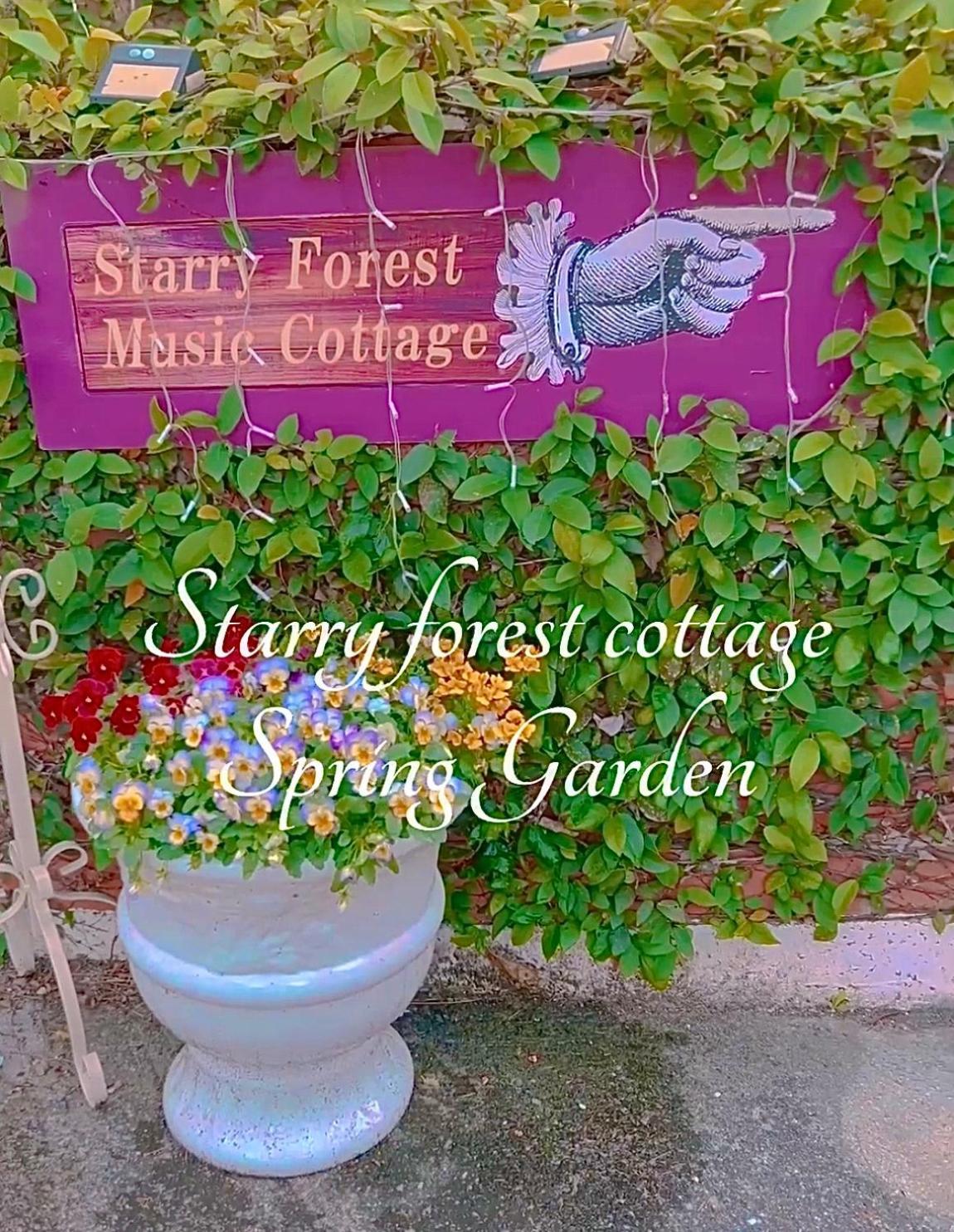Cats,Piano & Starry Sky Resort Garden -Starry Forest Cottage Okinawa- Onna Exterior foto