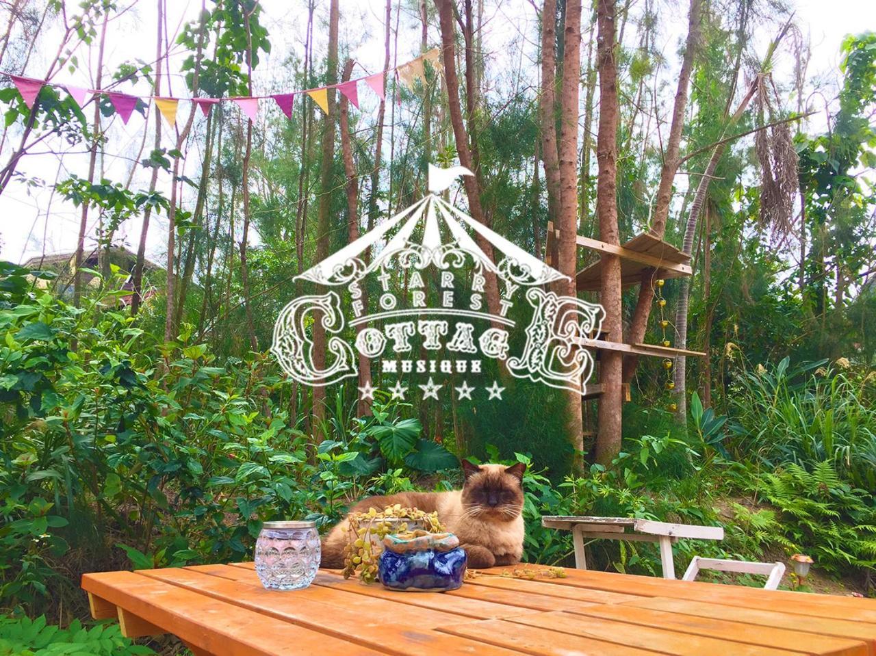 Cats,Piano & Starry Sky Resort Garden -Starry Forest Cottage Okinawa- Onna Exterior foto
